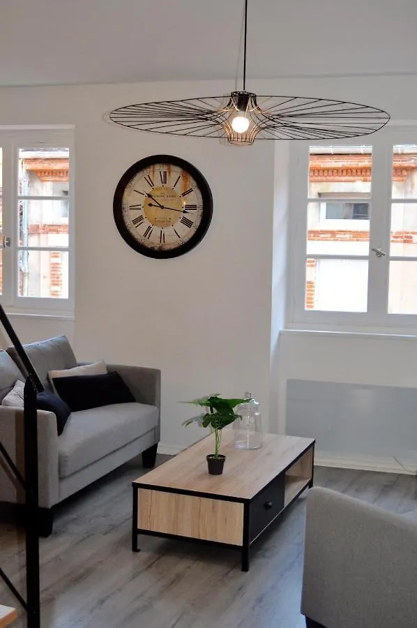 L'Hotel Particulier D'Albi Albi