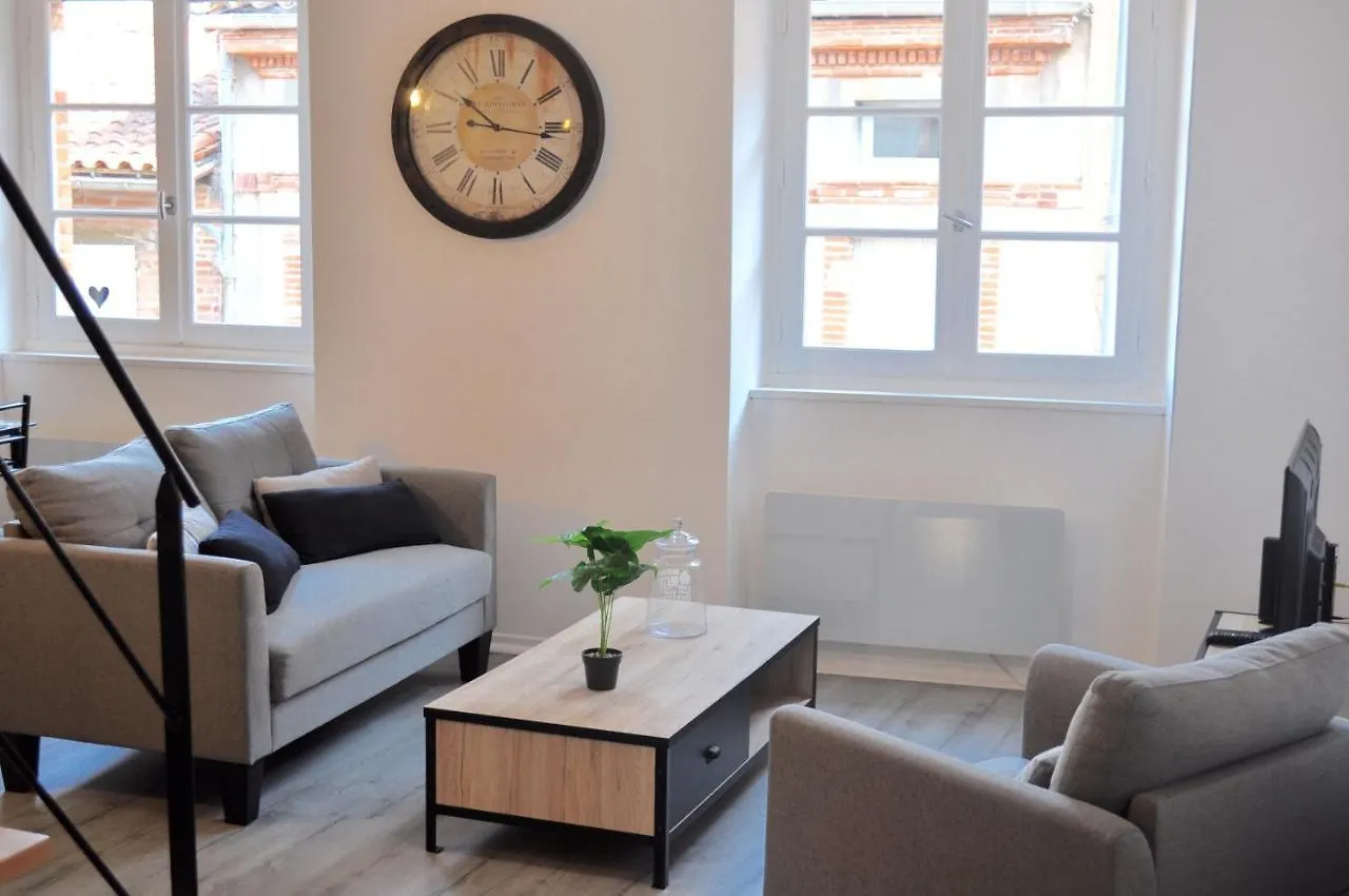 Apartment L'Hotel Particulier D'Albi France