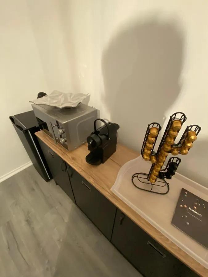 L'Hotel Particulier D'Albi Apartment Albi